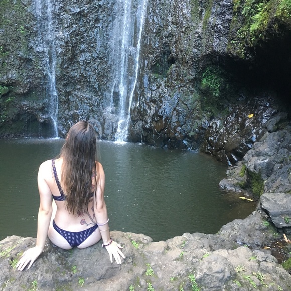 Meet your Posher, Riley - Picture 4 of 7